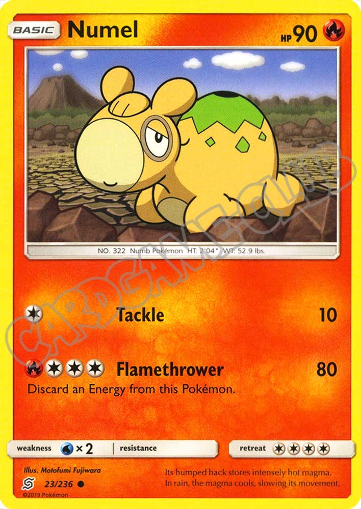 023 / 236 Numel comune normale (EN) -NEAR MINT-