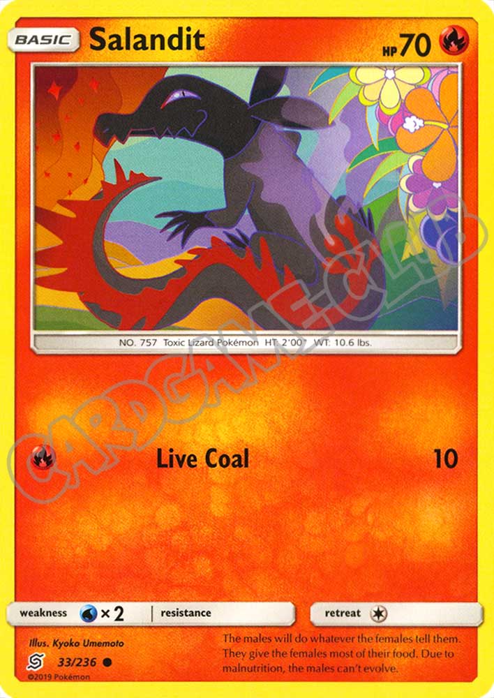 033 / 236 Salandit comune normale (EN) -NEAR MINT-