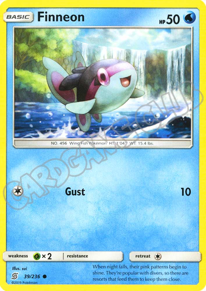 039 / 236 Finneon comune normale (EN) -NEAR MINT-