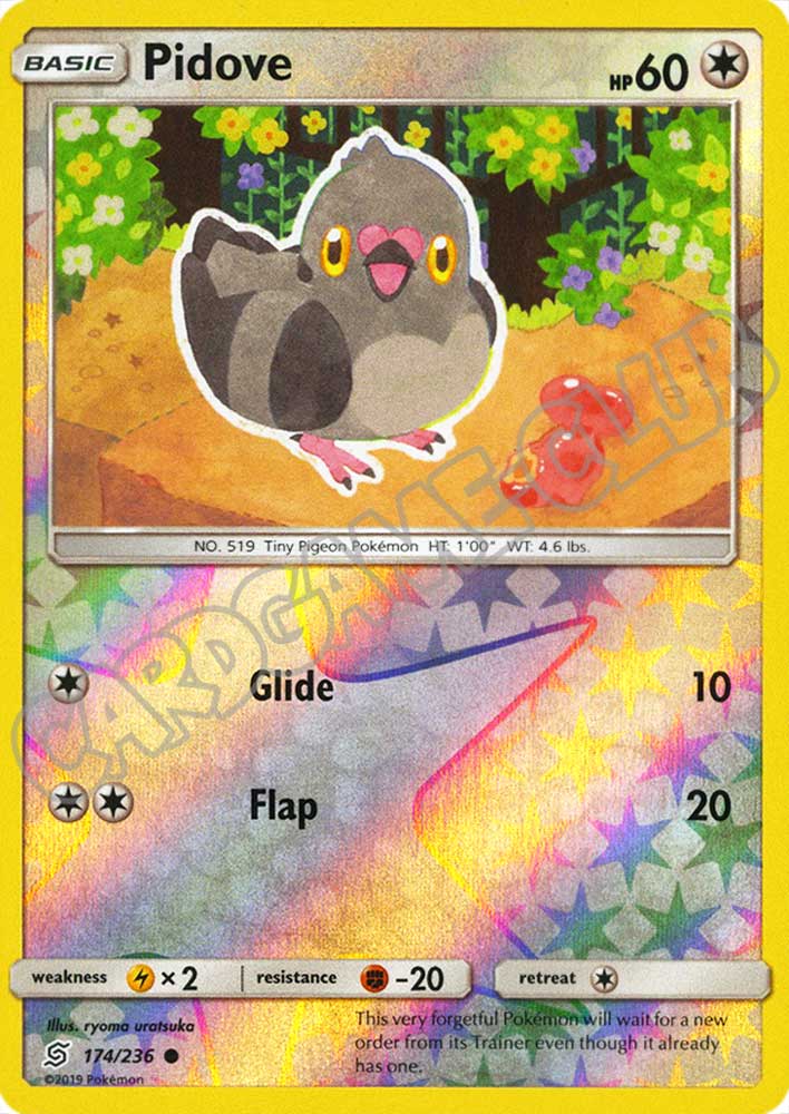 174 / 236 Pidove comune foil reverse (EN) -NEAR MINT-