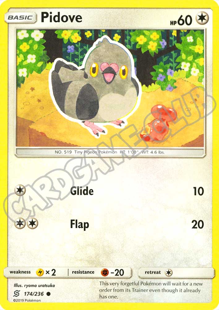 174 / 236 Pidove comune normale (EN) -NEAR MINT-