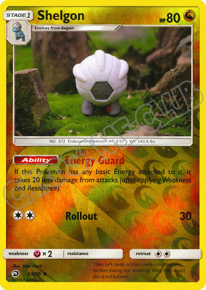 43 / 70 Shelgon non comune foil reverse (EN) -NEAR MINT-