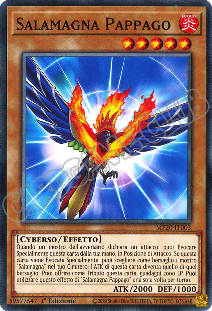 MP20-IT003 Salamagna Pappago comune 1a Edizione (IT) -NEAR MINT-