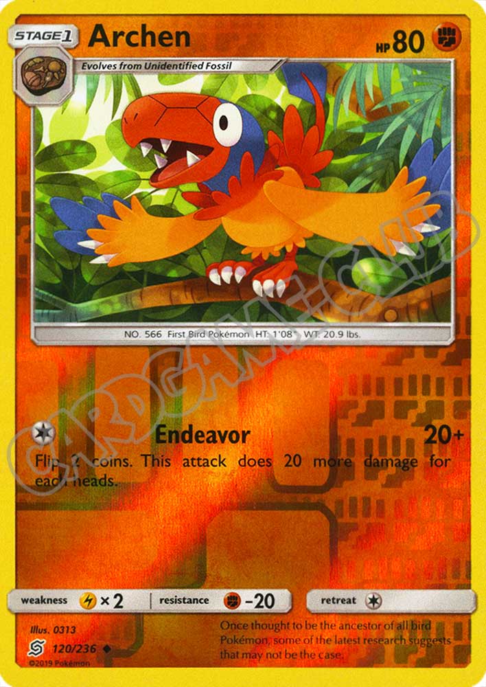 120 / 236 Archen non comune foil reverse (EN) -NEAR MINT-