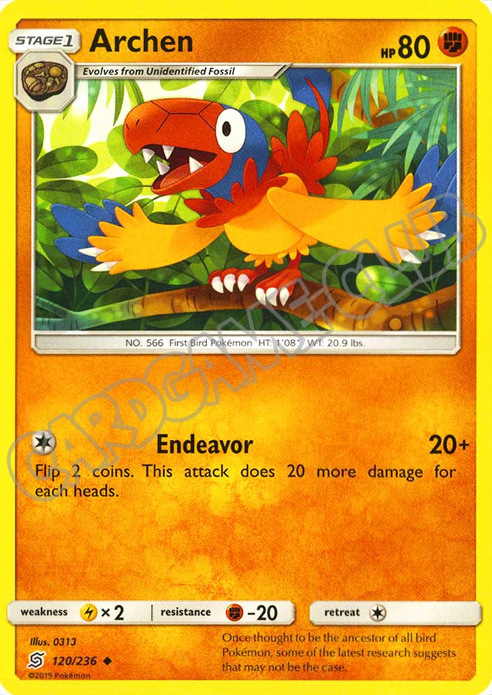 120 / 236 Archen non comune normale (EN) -NEAR MINT-