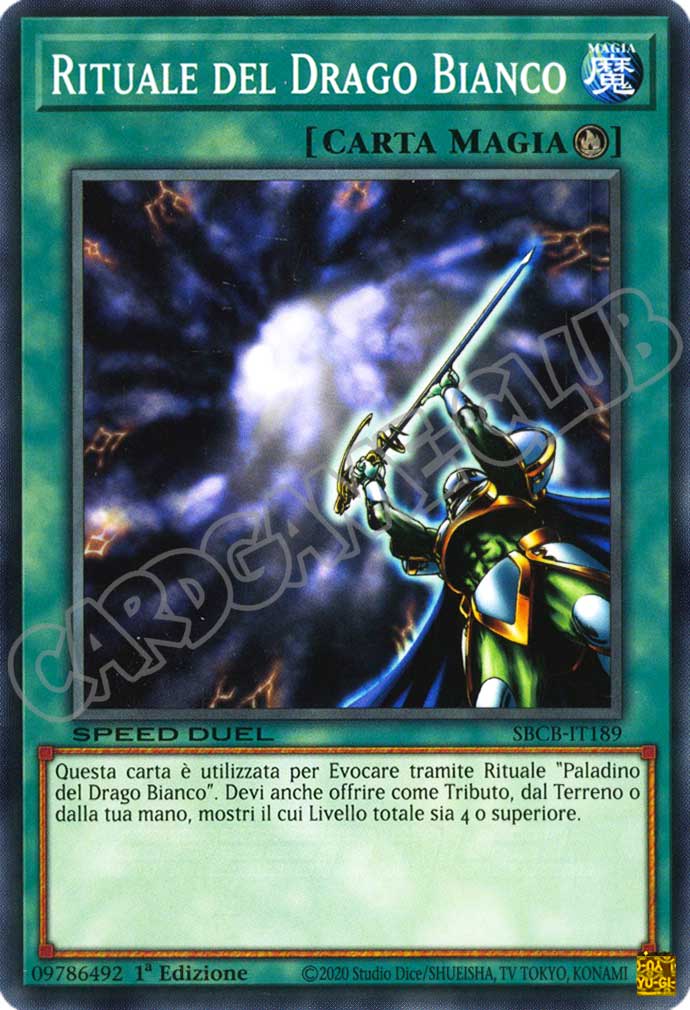 SBCB-IT189 Rituale del Drago Bianco comune 1a Edizione (IT) -NEAR MINT-