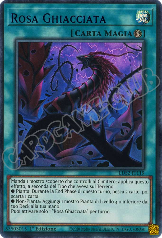 LDS2-IT119 Rosa Ghiacciata (scritta BLU) ultra rara 1a Edizione (IT) -NEAR MINT-