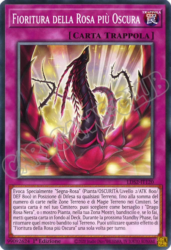 LDS2-IT120 Fioritura della Rosa piu' Oscura comune 1a Edizione (IT) -NEAR MINT-