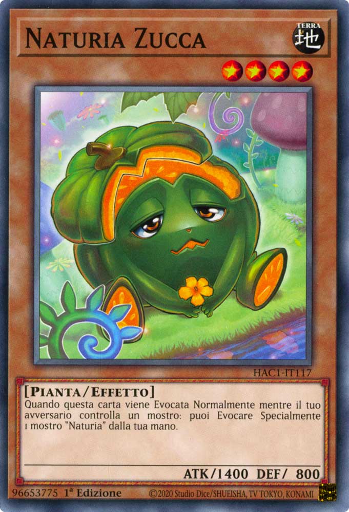 HAC1-IT117 Naturia Zucca comune 1a Edizione (IT) -NEAR MINT-