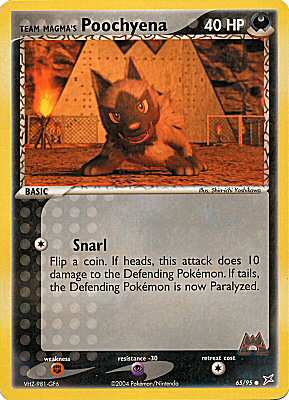 65 / 95 Team Magma's Poochyena 40 HP comune (EN) -NEAR MINT-
