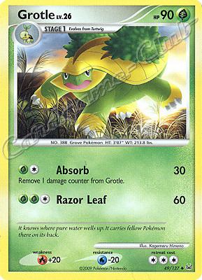 049 / 127 Grotle LV.26 non comune (EN) -NEAR MINT-