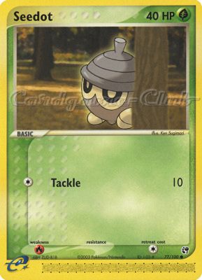 077 / 100 Seedot I-03 comune (EN) -NEAR MINT-