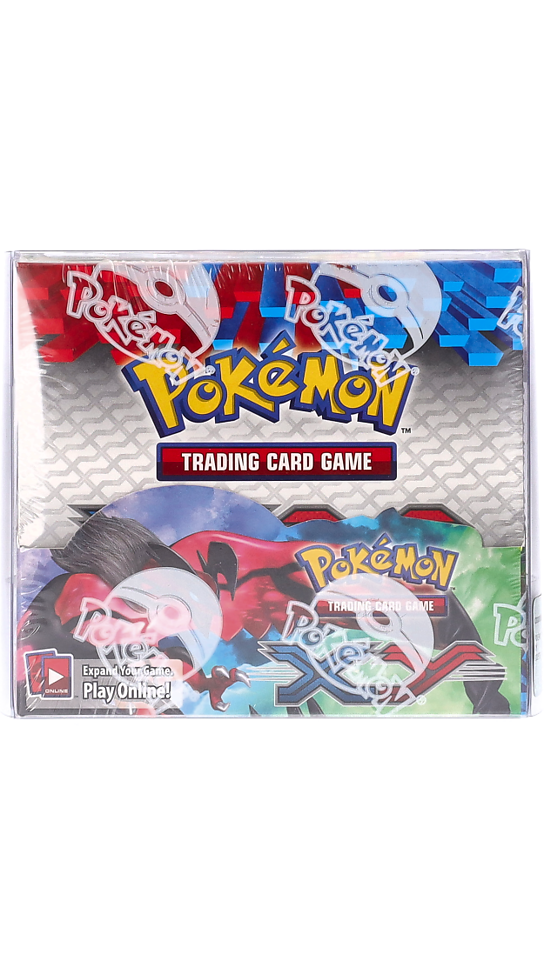 XY display 36 buste (EN)