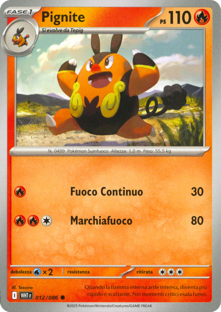 012 / 086 Pignite Comune normale (IT) -NEAR MINT-