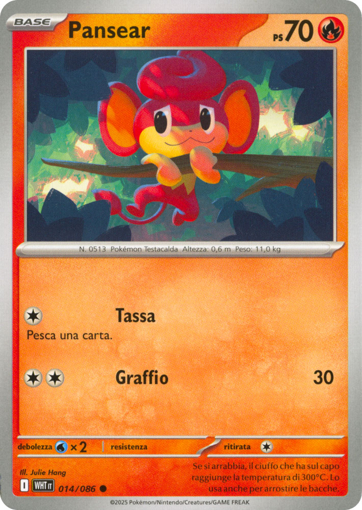 014 / 086 Pansear Comune normale (IT) -NEAR MINT-