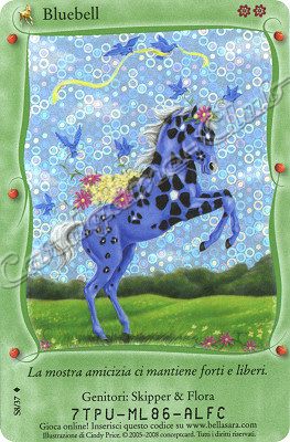 Baby Bella S08/37 Bluebell extra rara foil -NEAR MINT-