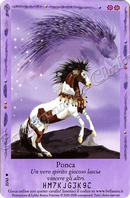 Incontri Felici 20/65 Ponca comune -NEAR MINT-