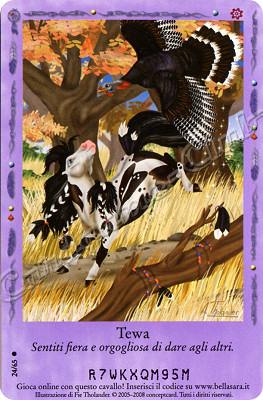 Incontri Felici 24/65 Tewa comune -NEAR MINT-