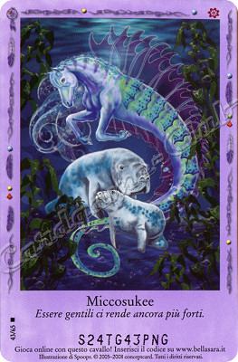 Incontri Felici 43/65 Miccosukee rara -NEAR MINT-