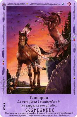 Incontri Felici 47/65 Nimiipuu rara -NEAR MINT-