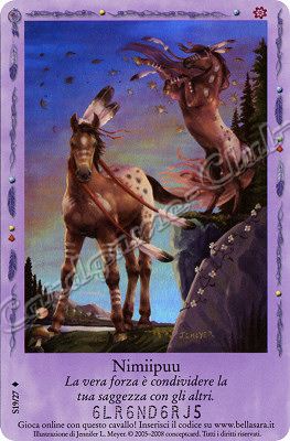 Incontri Felici S19/27 Nimiipuu extra rara foil -NEAR MINT-