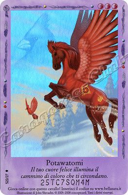 Incontri Felici S22/27 Potawatomi extra rara foil -NEAR MINT-