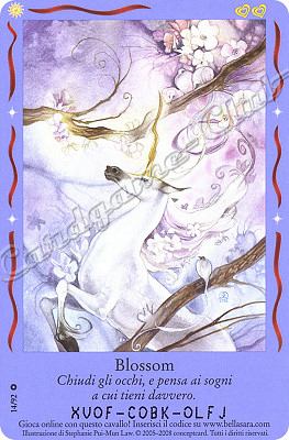 Magici Amici 14/92 Blossom comune -NEAR MINT-