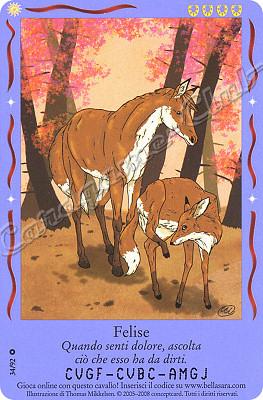 Magici Amici 34/92 Felise comune -NEAR MINT-