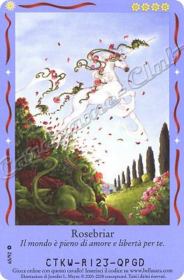 Magici Amici 65/92 Rosebriar comune -NEAR MINT-