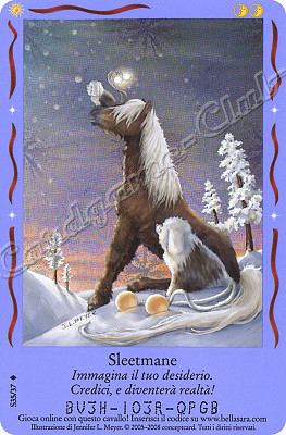 Magici Amici S35/37 Sleetmane extra rara foil -NEAR MINT-