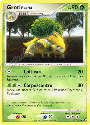 037 / 100 Grotle LIV.23 non comune (IT) -NEAR MINT-