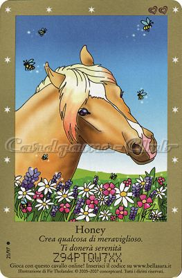 Serie 1 21/97 Honey comune -NEAR MINT-