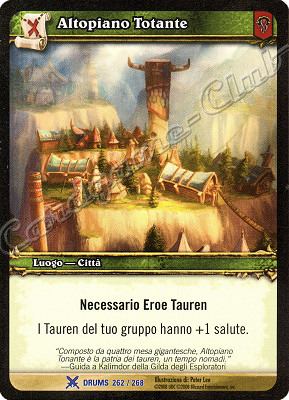 DRUMS 262 / 268 Altopiano Totante rara -NEAR MINT-