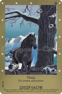 Serie 1 40/97 Ninja comune -NEAR MINT-