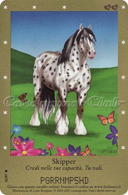 Serie 1 51/97 Skipper comune -NEAR MINT-