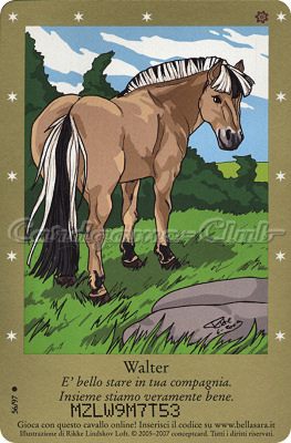 Serie 1 56/97 Walter comune -NEAR MINT-