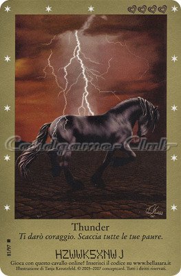 Serie 1 81/97 Thunder rara -NEAR MINT-