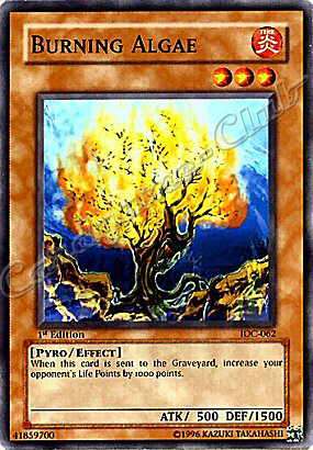 IOC-062 Burning Algae comune 1st Edition -NEAR MINT-