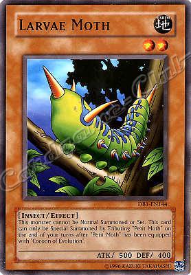 DB1-EN144 Larvae Moth comune -NEAR MINT-