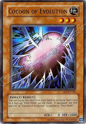 DB1-EN148 Coccon of Evolution comune -NEAR MINT-