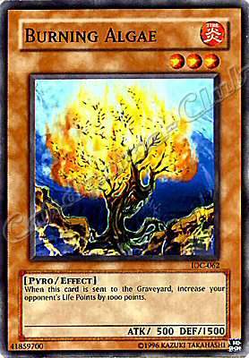 IOC-062 Burning Algae comune Unlimited -NEAR MINT-