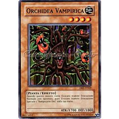 DR1-IT069 Orchidea Vampirica comune (IT) -NEAR MINT-