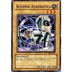 DR1-IT165 Scimmia Acrobatica comune (IT) -NEAR MINT-