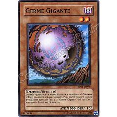RP01-IT070 Germe Gigante comune (IT) -NEAR MINT-