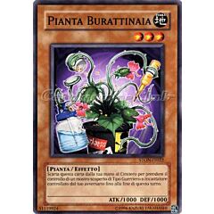 STON-IT022 Pianta Burattinaia comune Unlimited (IT) -NEAR MINT-