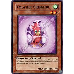 TAEV-IT008 Volatile Crisalide comune Unlimited (IT) -NEAR MINT-