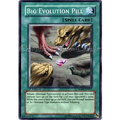 SD09-EN017 Big Evolution Pill comune 1st edition -NEAR MINT-