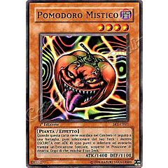 SKE-IT021 Pomodoro Mistico comune 1a Edizione (IT) -NEAR MINT-