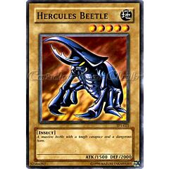 TP1-025 Hercules Beetle comune (EN) -NEAR MINT-