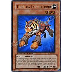 GLD2-IT029 Tigre da Laboratorio rara oro Edizione Limitata (IT) -NEAR MINT-